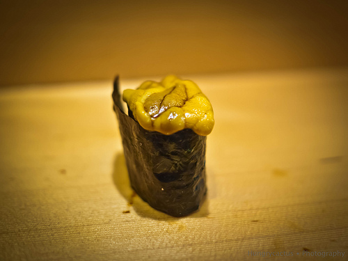 Sushi Dai - sea urchin