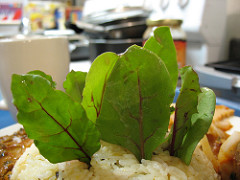 food 267