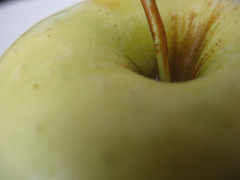 dixon apples 038