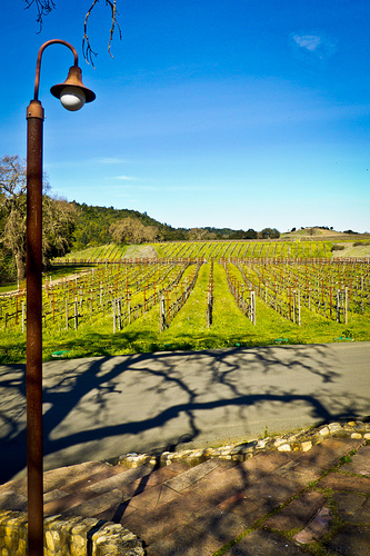 Hendry's Winery wine tasting