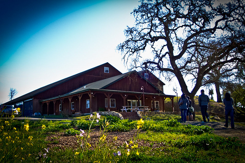 Hendry's Winery wine tasting