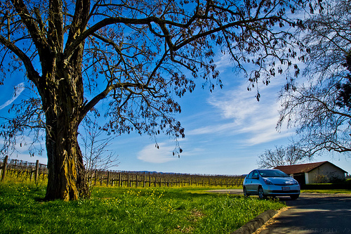 Hendry's Winery wine tasting