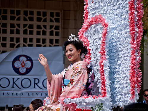 CherryBlossom2012_008.jpg