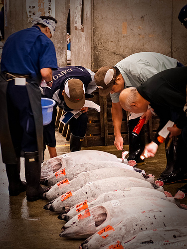 Tsukiji fish market