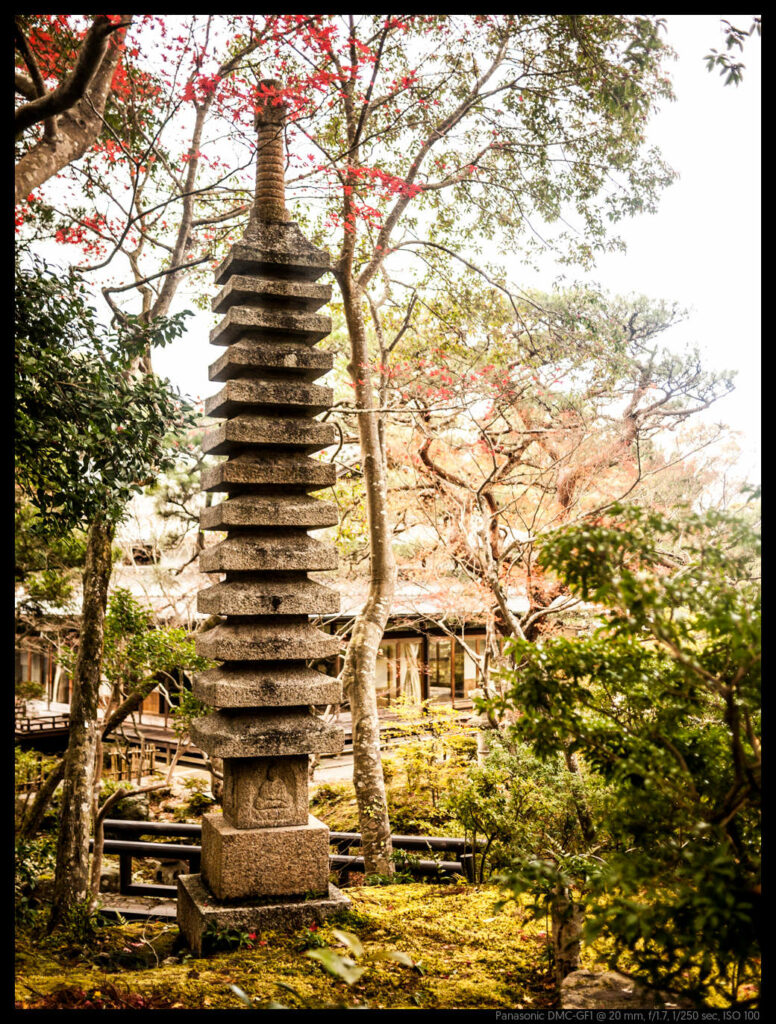 nara (13 of 78)