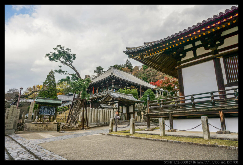 nara (23 of 78)