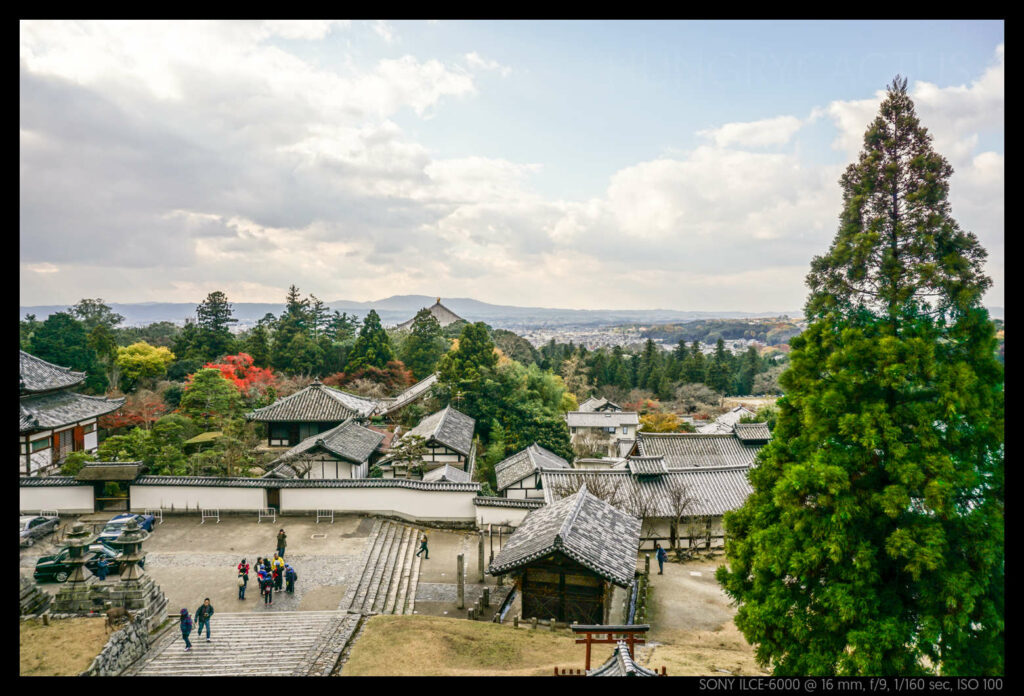 nara (25 of 78)