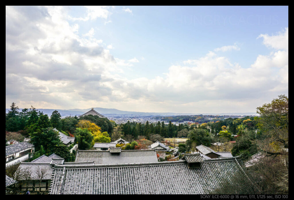 nara (26 of 78)