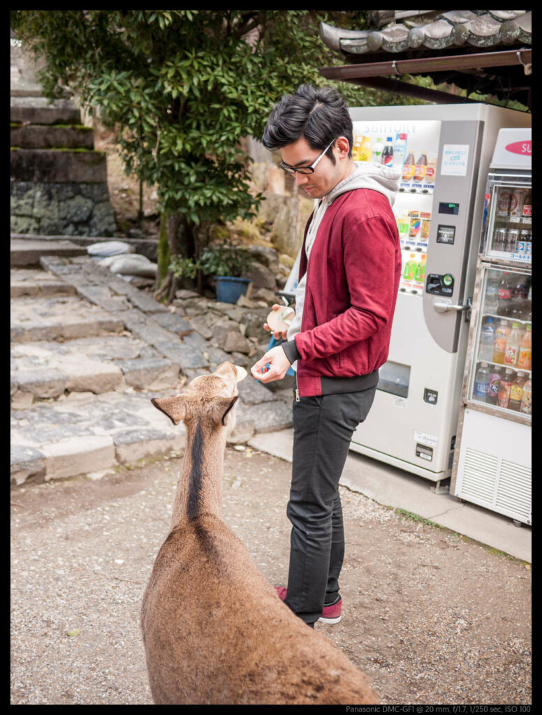 nara (27 of 78)