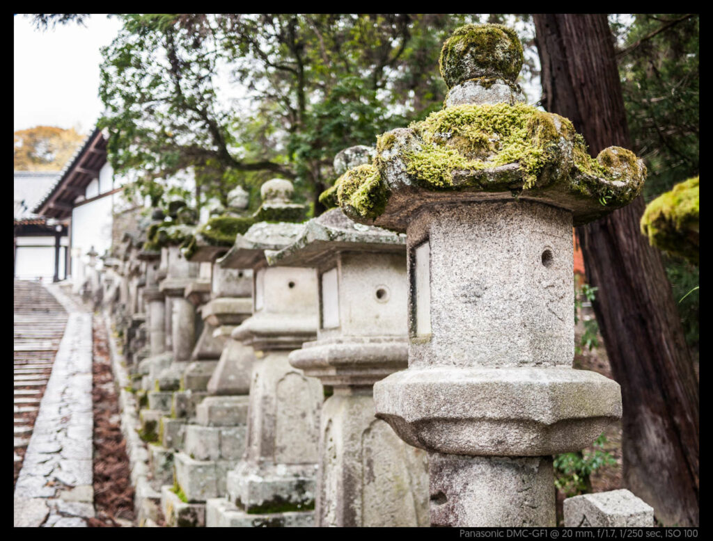 nara (31 of 78)