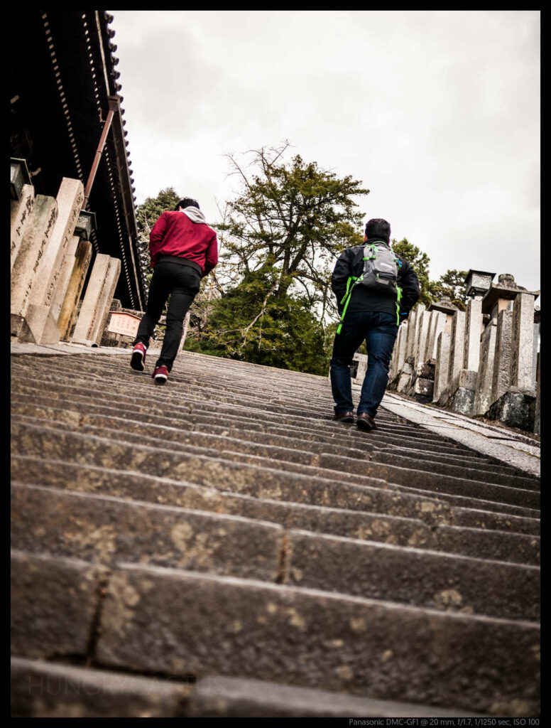 nara (35 of 78)