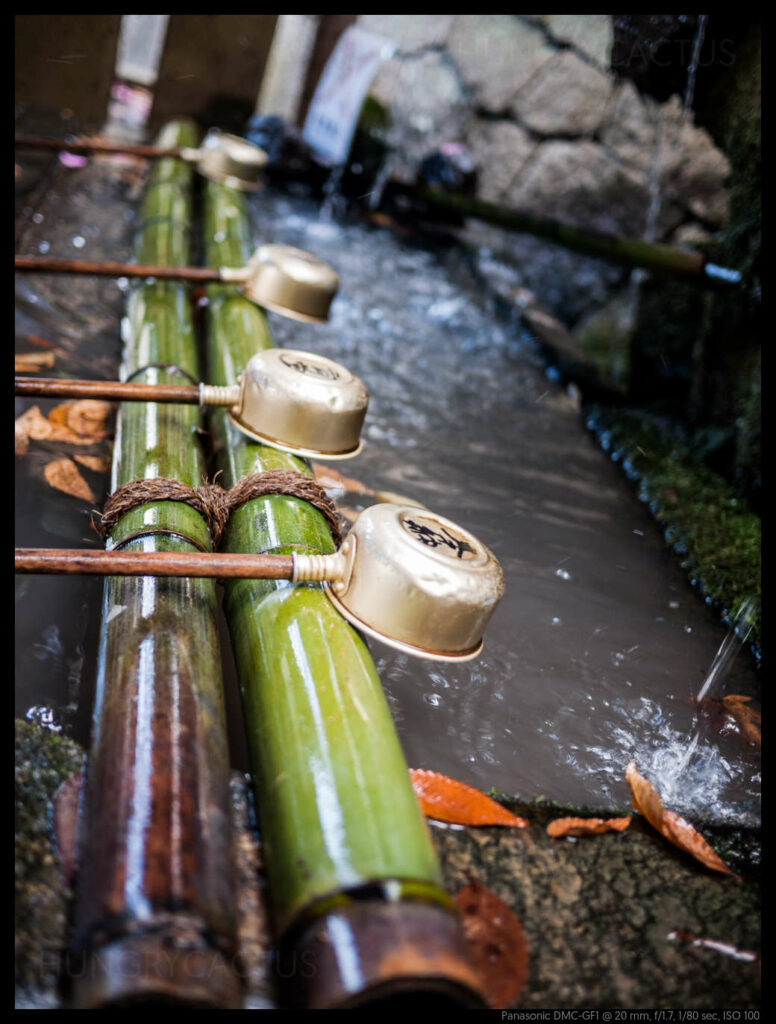 nara (39 of 78)