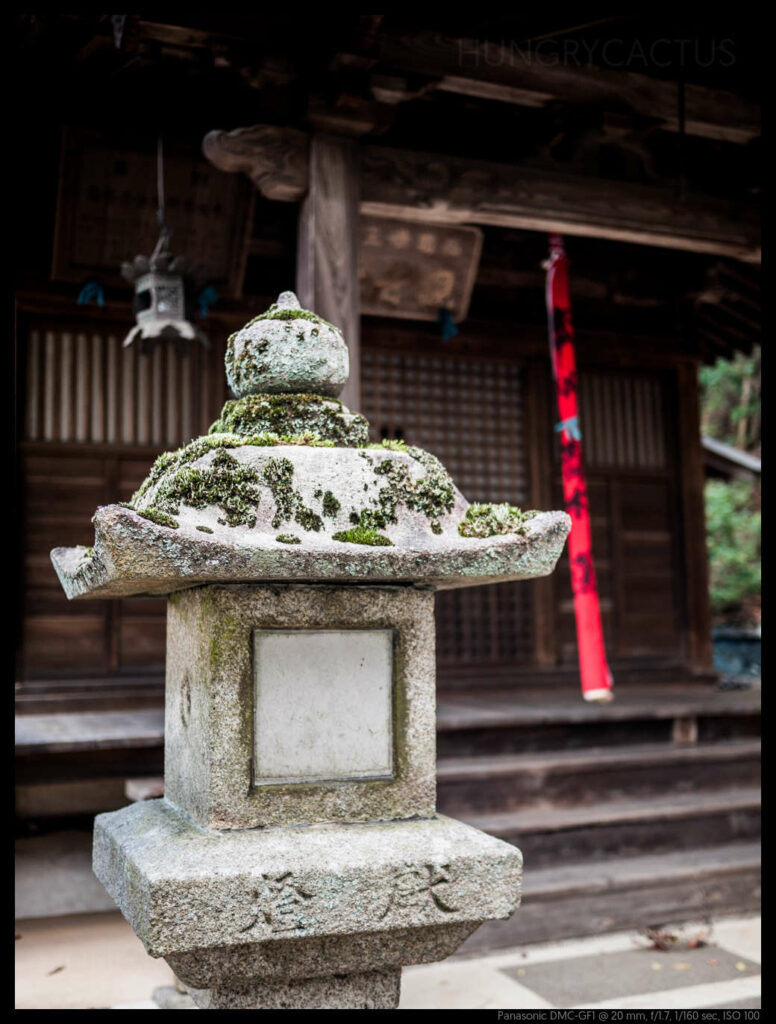 nara (40 of 78)