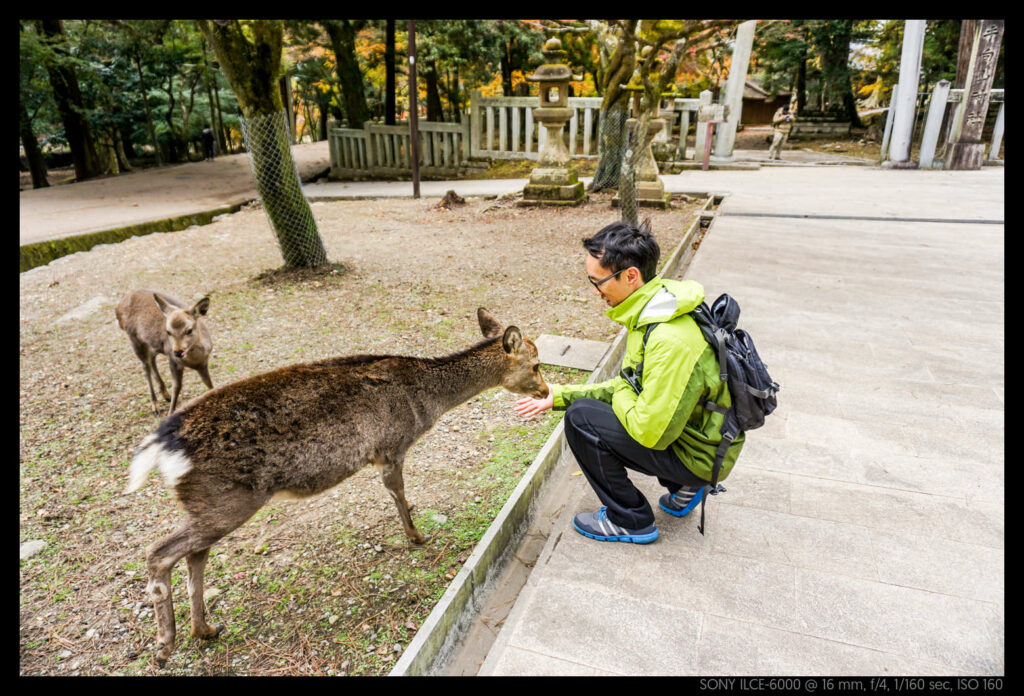 nara (41 of 78)