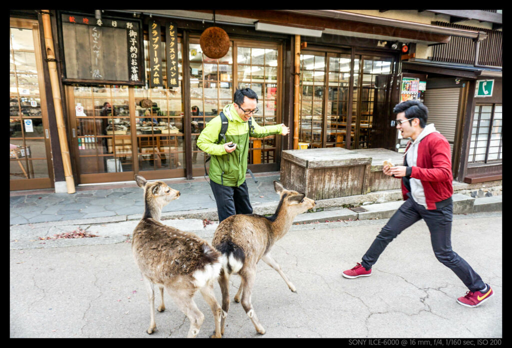 nara (44 of 78)