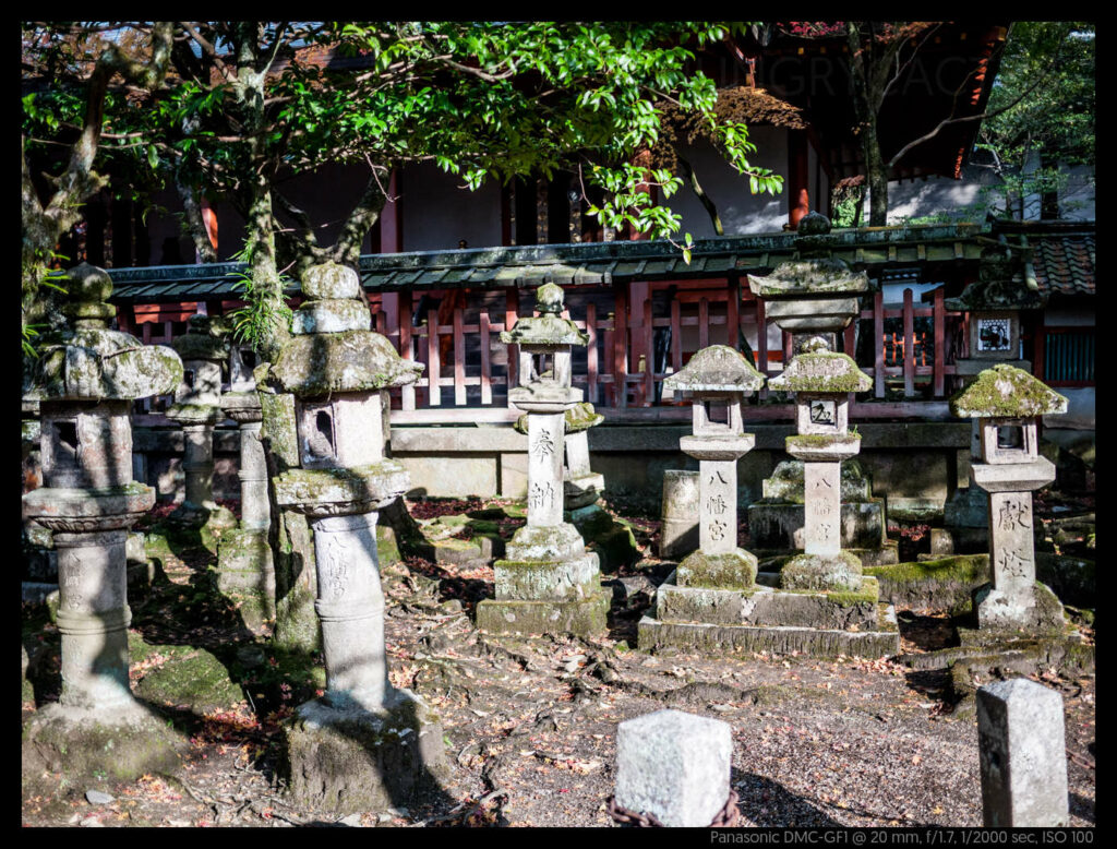 nara (46 of 78)