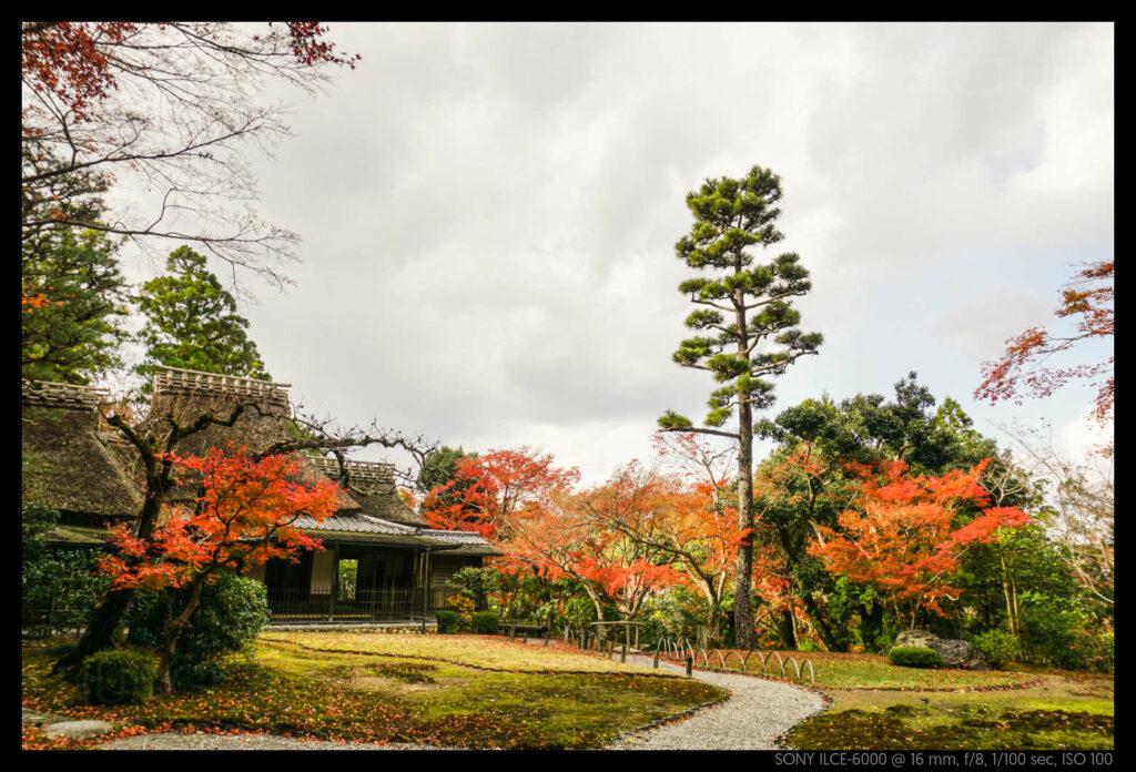 nara (5 of 78)