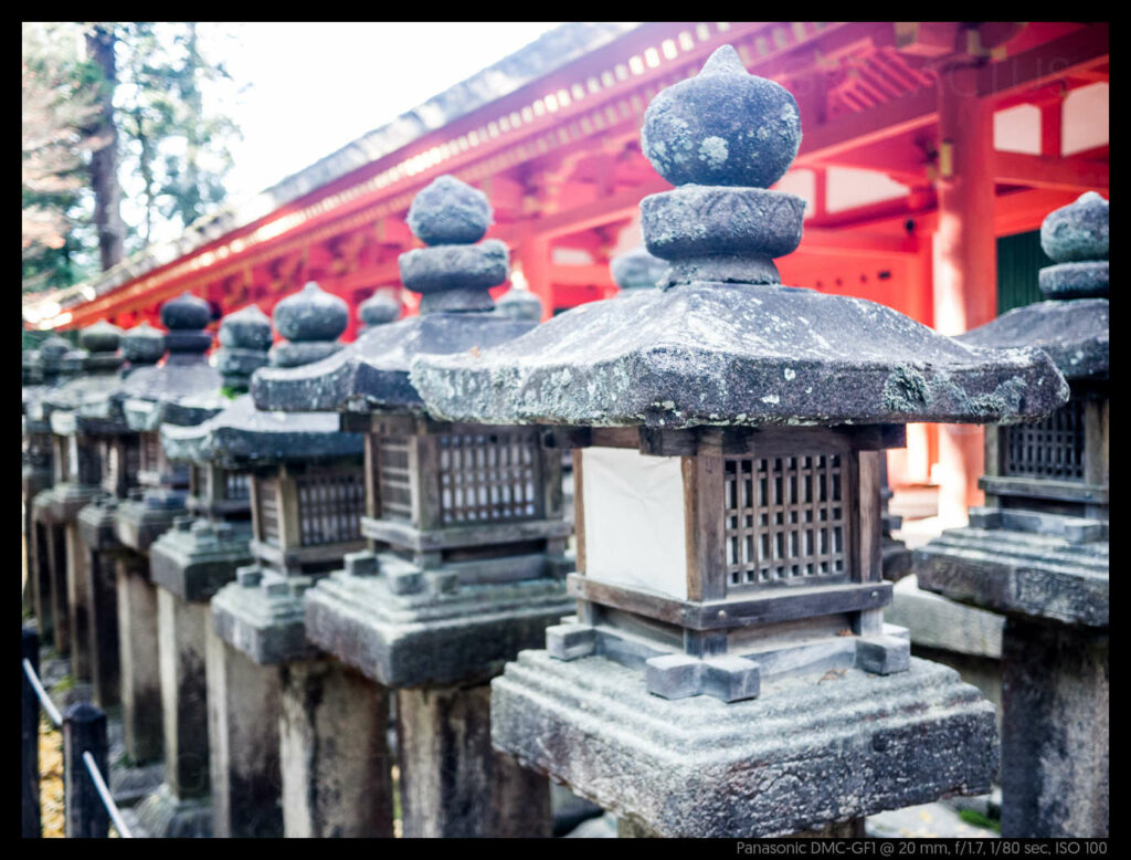 nara (57 of 78)