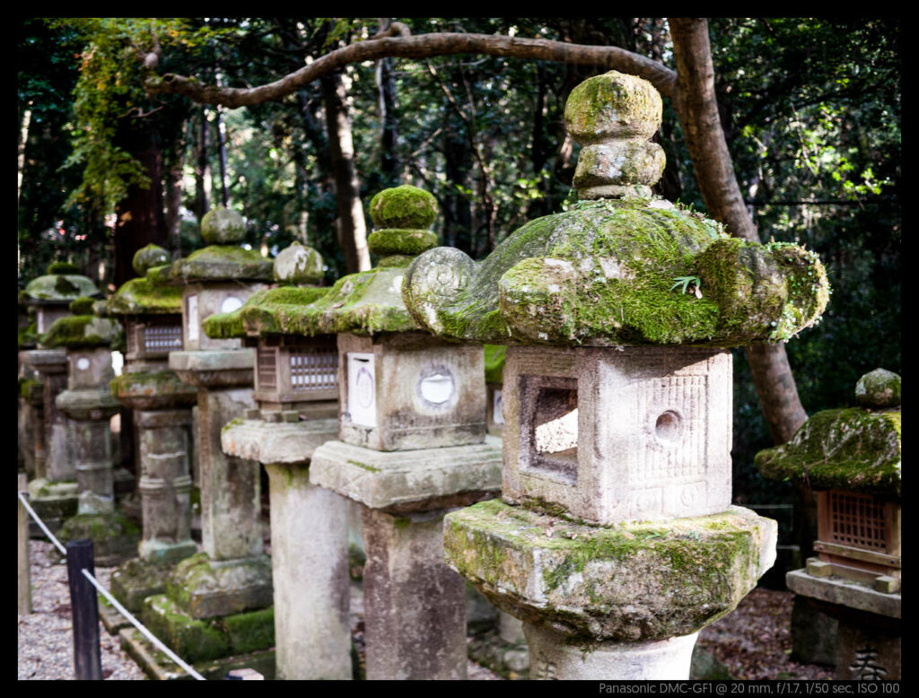 nara (58 of 78)