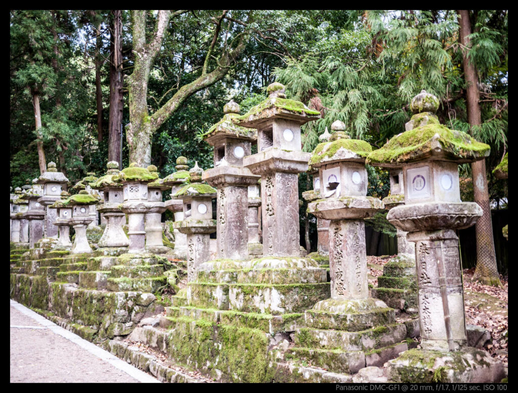 nara (60 of 78)