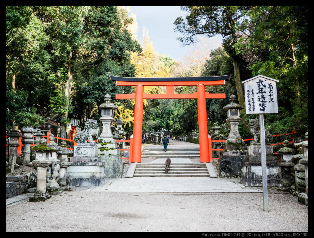 nara (62 of 78)