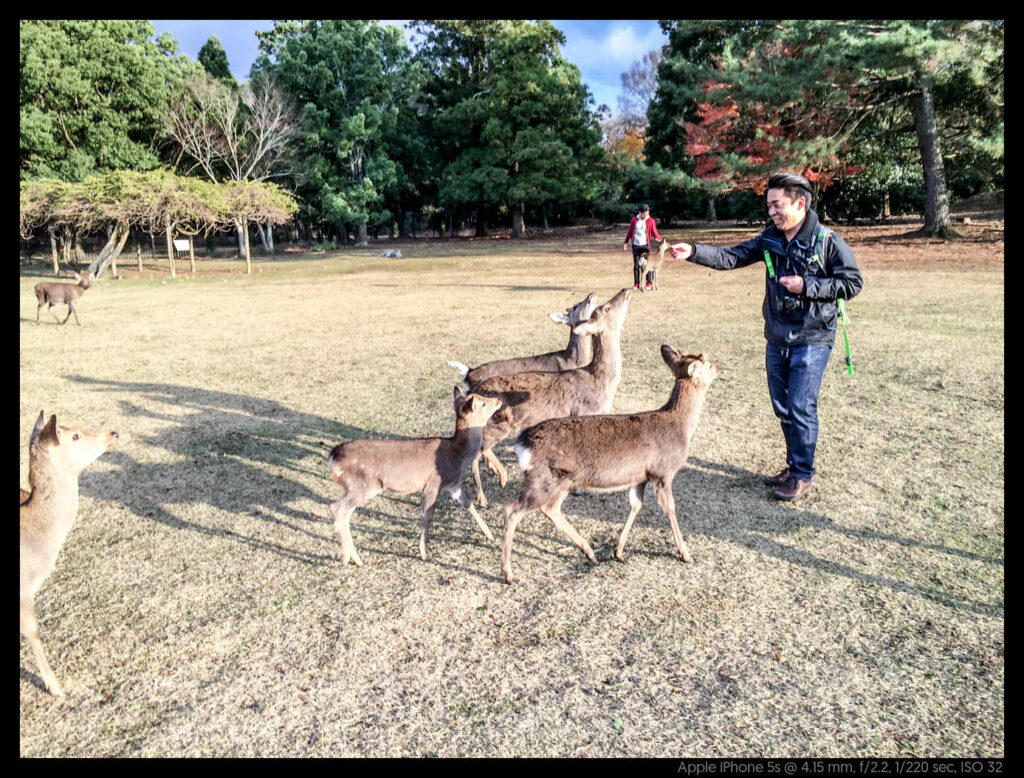 nara (67 of 78)