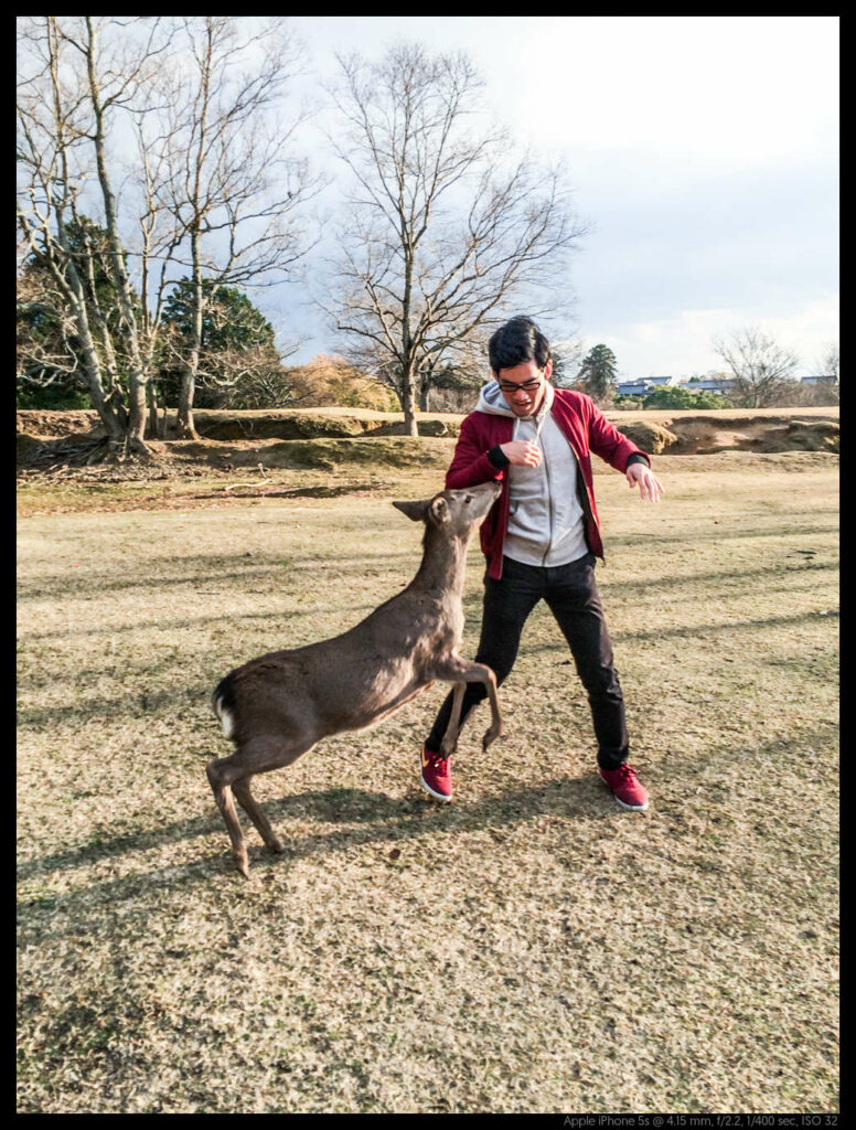 nara (73 of 78)