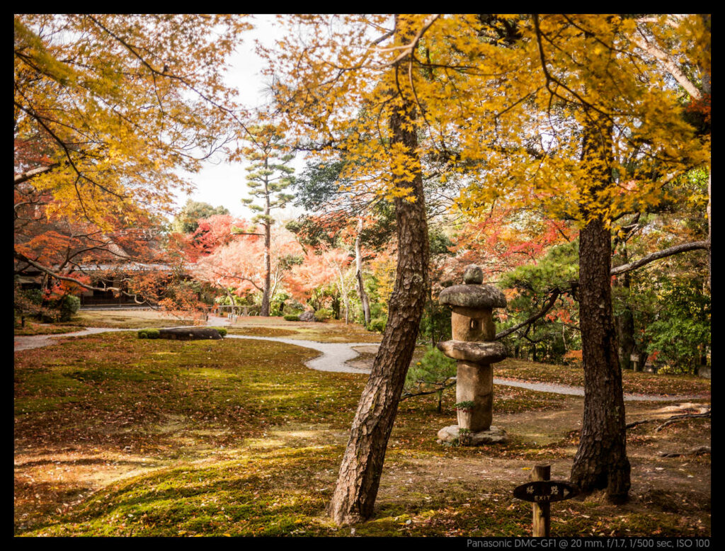 nara (9 of 78)