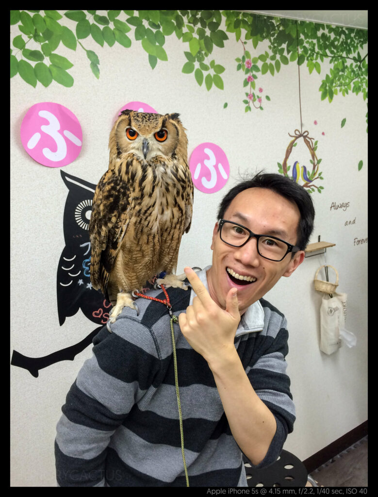 owlcafe (3 of 14)