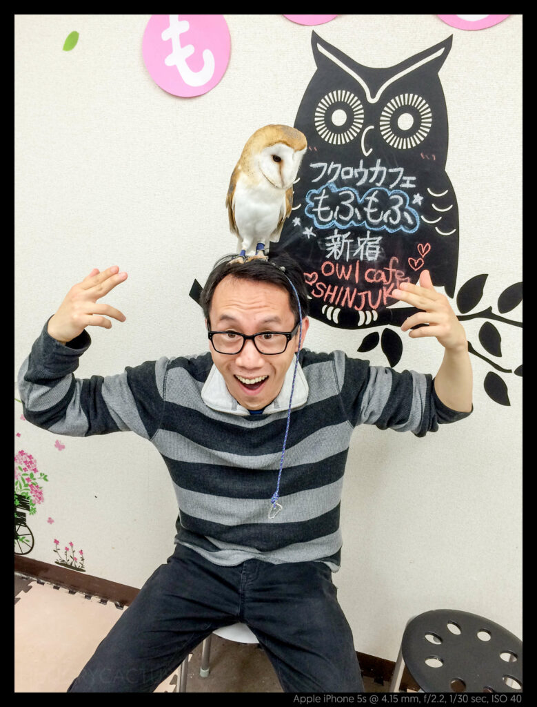 owlcafe (4 of 14)